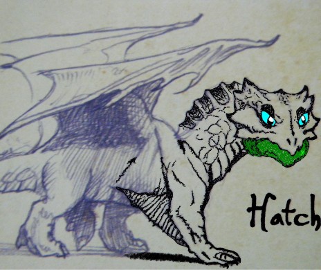 Hatch__Unfinished.JPG