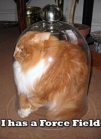 lolcats.jpg