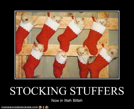 funny_pictures_kittens_are.jpg