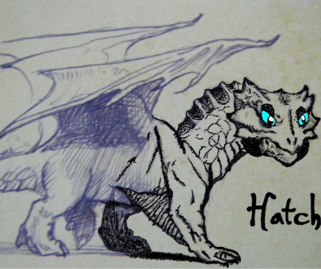 Hatch__Unfinished.JPG