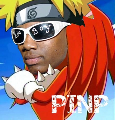 pinp.jpg
