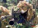 thumb_SniperCat_1_.jpg
