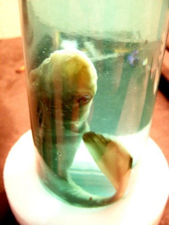 DSCN8443.JPG