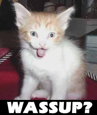 wasup.jpg