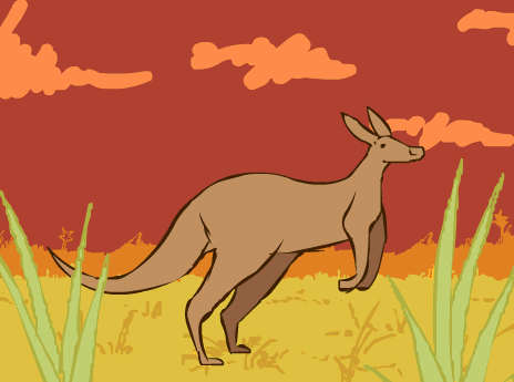 Animation Kangaroo