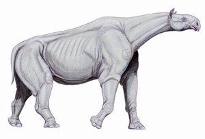 Indricotherium_by_DiBgd.jpg