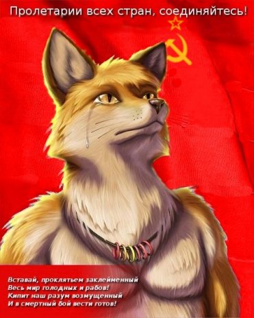 TaurinWhat.jpg