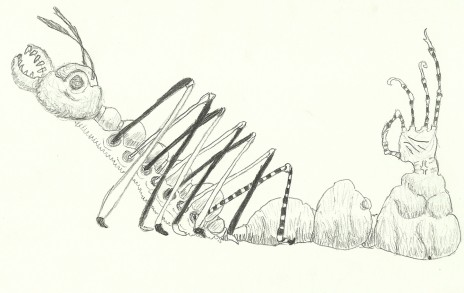scan0006.jpg