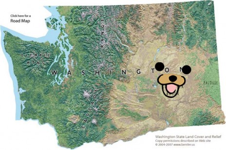 PEDO_WASHINGTON.jpg
