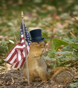 squigglepublicphotoop.jpg