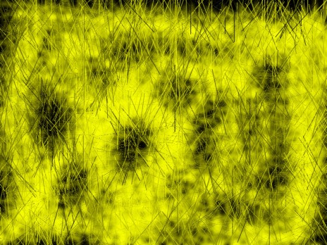background6.jpg