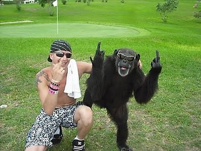 monkey_middle_finger_20100.jpg