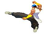 badass_ninja_kick.gif