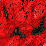 GOTHCLAWZ_2.GIF