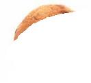 cookie.JPG