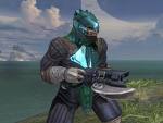 imagesCAQRCG41.jpg