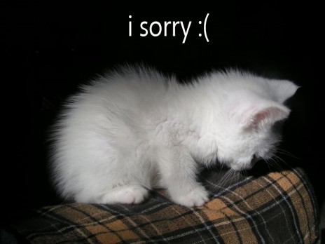 i_sorry.jpg