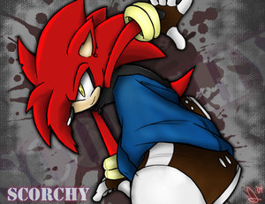 __Scorch_the_Hedgehog___by.jpg