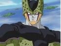 cell.jpg