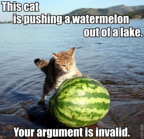 best_cat_ever.jpg