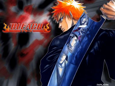 normal_Bleach_Wallpaper07.jpg