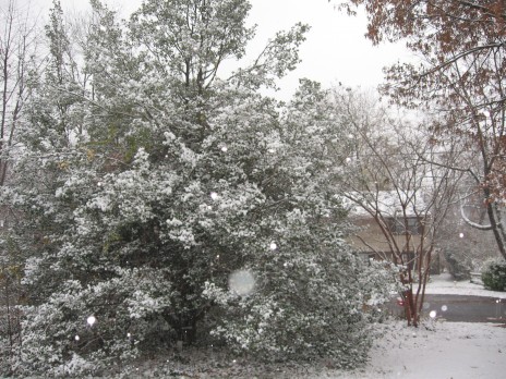 snow.JPG