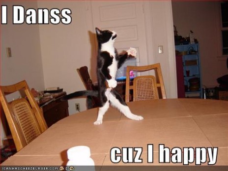 Cat.JPG