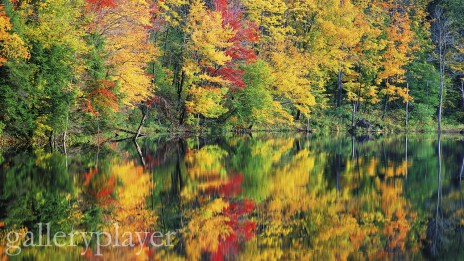 Autumn___GalleryPlayer.jpg