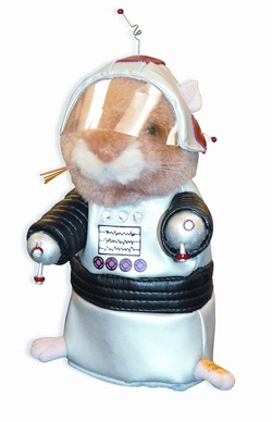 hal_hamster.jpg