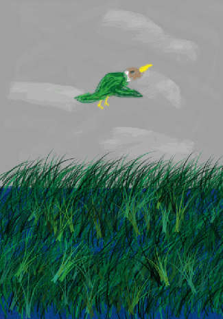 duck.gif