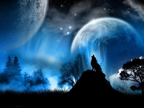 Wolf_Howling_2.jpg
