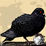 newgrounds_icon.jpg