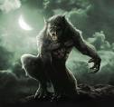 karma_wolf.jpg