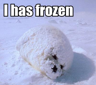 frozen.jpg