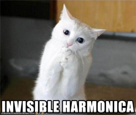 funny_pictures_cat_has_inv.jpg