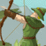portal_549109.gif