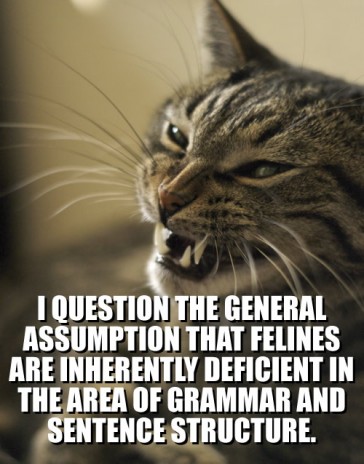 The_questioning_kitty.jpg