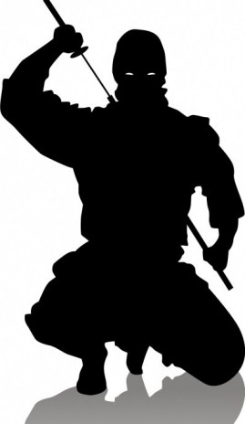 The_ninja.jpg