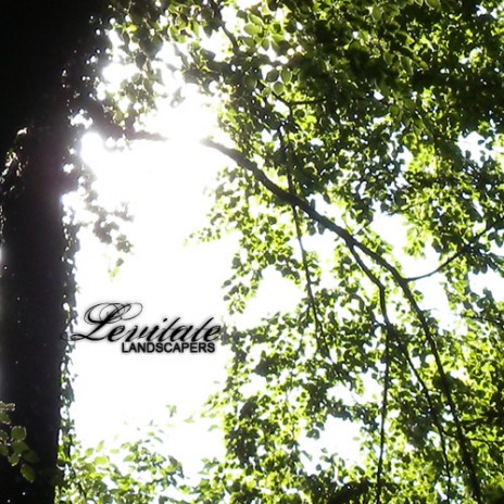 LevitateEP_Final.jpg