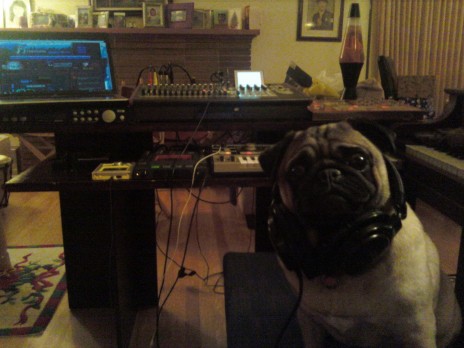 pug_studio.jpg