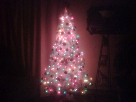 IMG00063_20101128_0107.jpg
