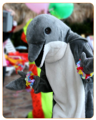 dolphin_pirate.jpg