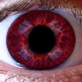 InX_eye_2_resize_.jpg