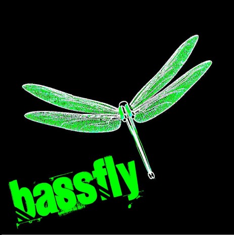 JetpackDragonfly_by_nyctop.jpg