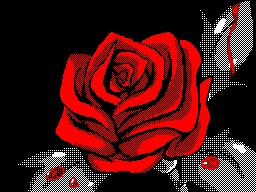 Rose.jpg