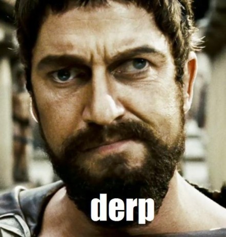 derp300.jpg