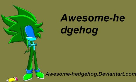 Beach_the_echinhog_Wallpap.jpg