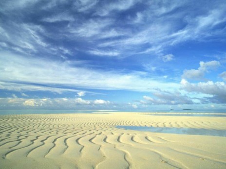desert.jpg