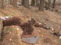 Bigfoot_found_DEAD.jpg