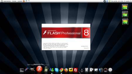 flash_on_ubuntu_mini.jpg